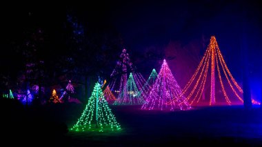 Wisley, Woking, Surrey, İngiltere - 19 Kasım 2022 'de RHS Garden Wisley, Woking, Surrey, İngiltere, İngiltere' de Noel Glow 2022