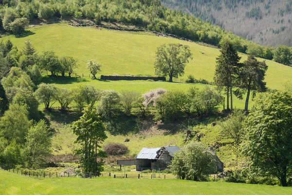 Bala Gwynedd Wales Května Pohled Zemědělskou Půdu Gwynedd Wales Května — Stock fotografie