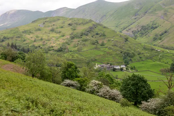 Lake Distrric, CumMBRIA, İngiltere, 20 Mayıs. 20 Mayıs 2024 'te Cumbria' daki Lake District manzarası