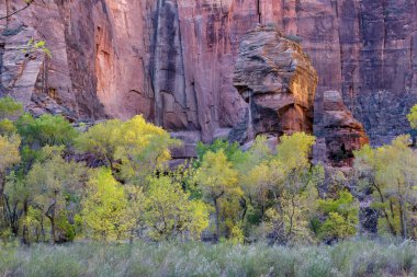 Zion Ulusal Parkı 'ndaki Kürsü Kayası Manzarası