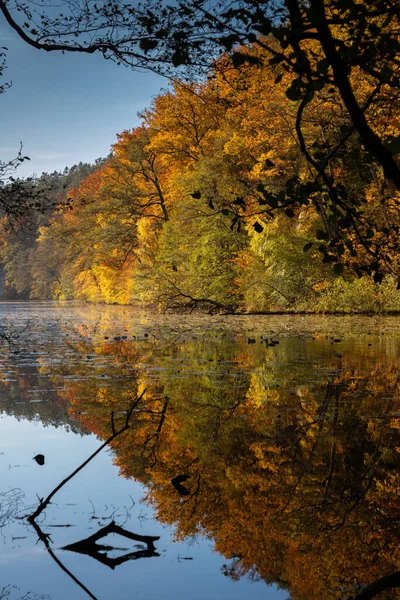 stock image Colorful autumn at lake Harasov near Melnik, Czech Republic