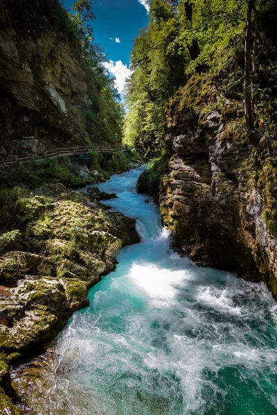 Beautiful Vintgar Gorge Clean Azure Water Triglav Slovenia — Stock Photo, Image