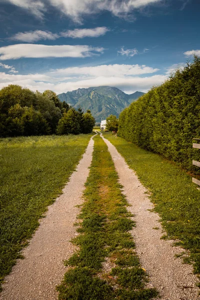 Olhe Para Bela Montanha Eslovena — Fotografia de Stock