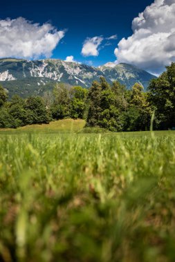 Şu güzel Slovenya dağına bak..