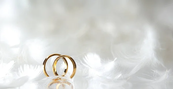 Detail Two Gold Rings Standing Reflective Base Many White Feathers — Stock Photo, Image