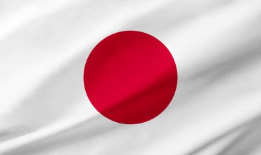 Japon bayrağının arkaplan ayrıntıları, el sallayan kumaş dokusu ile tüm çerçeveyi işgal ediyor..