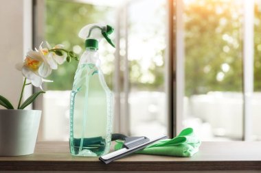 Pencere temizleyici spatula spatula, sprey ürün, mikrofiber bez ve ahşap masa ve arka plandaki cam pencereye bitki. Ön görünüm.