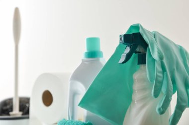 Dezenfektan şişeleri, eldivenler, temizlik pedleri, tuvalet fırçası ve beyaz izole arka planda tuvalet kağıdı gibi çeşitli banyo temizleme malzemelerinin ayrıntıları. Ön görünüm.