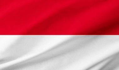 Monako bayrağının arkaplan ayrıntıları, el sallayan kumaş dokusu ile tüm çerçeveyi işgal ediyor..