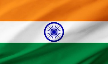 Hindistan bayrağının arkaplan ayrıntıları el sallayan kumaş dokusu ile tüm çerçeveyi işgal ediyor.