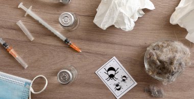 Toz maytı alerjisi tedavi konsepti. Ürün şişeleri, şırıngalar ve tahta bir masada içi toz dolu kaplar. Üst görünüm.