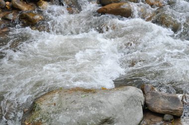 Şelale, kaya ve ağaç veya şelale arka planı veya nehir arkaplanı