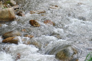 Şelale, kaya ve ağaç veya şelale arka planı veya nehir arkaplanı