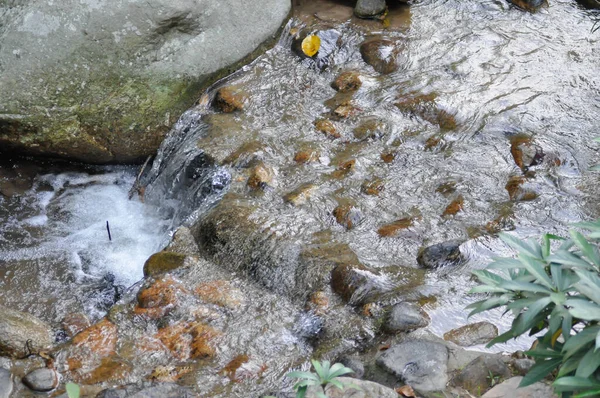 stock image waterfall ,rock and tree or waterfall background or river background