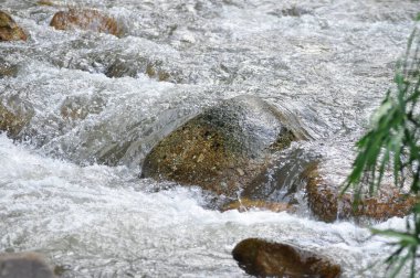 Şelale, kaya ve ağaç veya şelale arka planı veya nehir arkaplanı