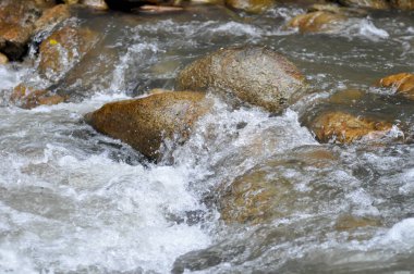 Şelale, kaya ya da şelale arka planı ya da nehir arkaplanı