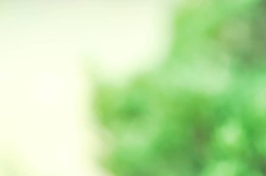 soyut, bulanık arkaplan veya yeşil arkaplan veya ağaç arkaplan