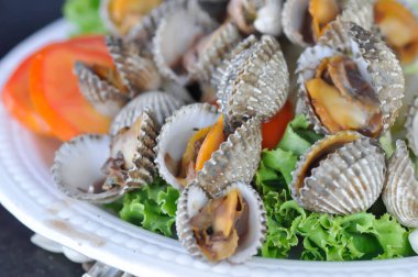 kabuk ya da gemi kabuğu, midye ya da deniz tarağı ya da haşlanmış kabuk.