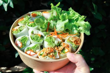 Sebzeli dürüm veya erişte rulosu veya pirinç eriştesi veya kutuda Vietnam dürümü.