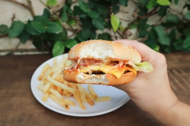 Hamburger veya domuz burger veya sığır burger, çörek ve patates kızartması veya kızarmış patates.