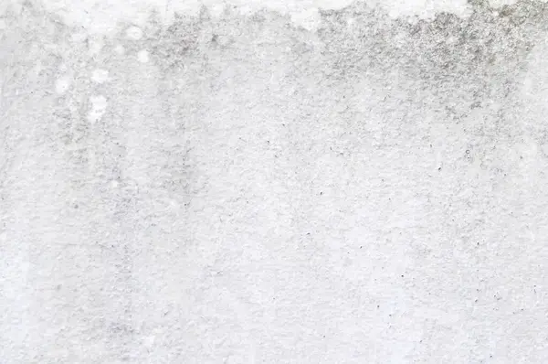 cement wall or white wall , white background or white wallpaper or white fence