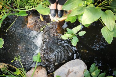 Nehir ya da şelale ve bahçede bir ağaç ya da küçük bir nehir ya da nehrin yanında biri duruyor.