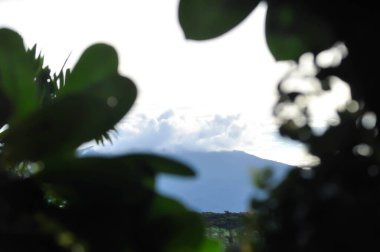 gökyüzü, bulut, ağaç ve dağ arkaplanı