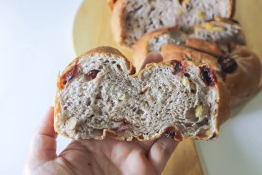 walnut cranberry sourdough bread or cranberry sourdough in the hand clipart