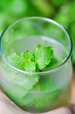 Mojito veya kokteyl, mocktail veya limon suyu veya limon suyu, limonata veya tonik veya soda ve nane yaprağı veya limon suyu