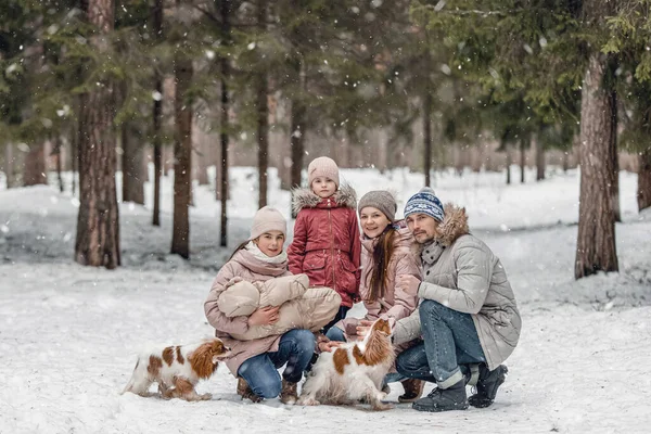 Szczęśliwa Rodzina Kaukaski Młody Gra Psem Zimie Sosnowym Lesie — Zdjęcie stockowe