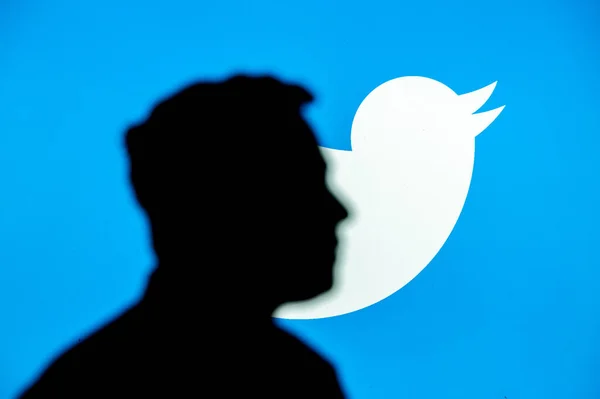 New York Usa 2022年10月 イーロン ムスクの肖像画 黒シルエット 青の背景にTwitterのロゴ — ストック写真
