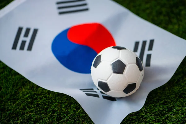 South Korea National Football Team National Flag Green Grass Soccer — Stock Photo, Image