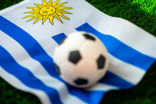 Εθνική Της Ουρουγουάης Ομάδα Ποδοσφαίρου Εθνική Σημαία Στο Πράσινο Γρασίδι — Φωτογραφία Αρχείου