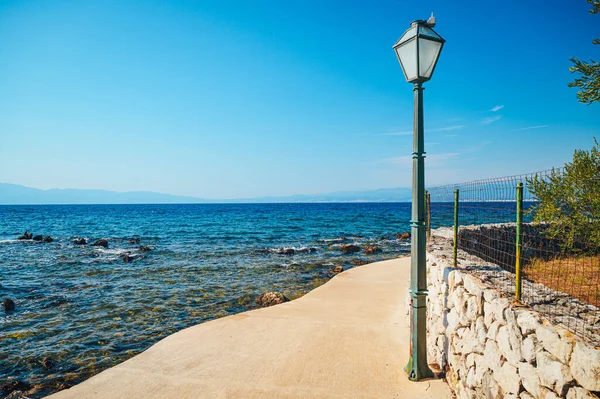 Fantastisk Strand Med Kristallklart Havsvatten Med Tallar Solnedgången Kroatien — Stockfoto
