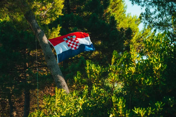 Croatia Flag and Green Pine Trees in Background. Sport Photo. Football Fans. Summer Vacation by Mediterranean Sea