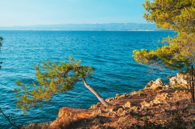 Güzel Yaz Tatili Fotoğrafı. Hırvatistan 'da yaz zamanı. Sabah fotoğrafı, ılık turuncu sabah ışığı. Boşluğu düzenle