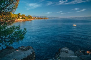 Dalmaçya, Hırvatistan 'ın Brela, Makarska bölgesinde günbatımının tadını çıkaran lacivert denizin kenarındaki büyük bir çam ağacı.