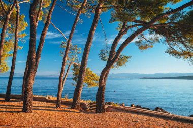 Hırvatistan 'ın Dalmaçya kentinin Brela kasabası yakınlarındaki güzel sahil. Makarska Riviera, Avrupa 'nın ünlü simgesi ve turistik beldesi