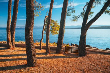 Cennet plaj Orebic Peljesac Yarımadası'nda, Dalmaçya, Hırvatistan
