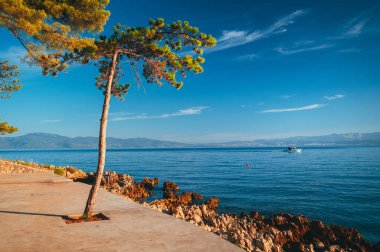 Hırvatistan 'ın Adriyatik kıyıları. Jadran Burnu 'na bak. Turkuaz Mediteran denizi ve yeşil kozalaklı ağaçlarıyla kayalık kıyı. Mavi gökyüzünde güzel bulutlar. Muhteşem yaz manzarası