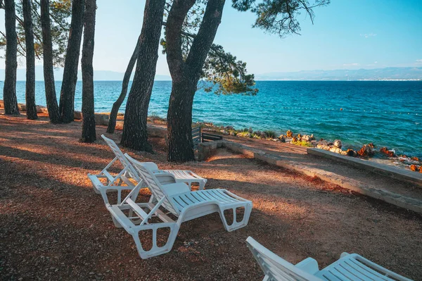 Solstolar Stranden Vid Medelhavet Kroatien Nära Tallar — Stockfoto