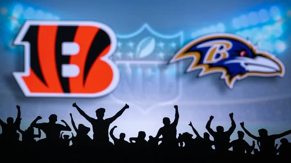 Cincinnati Usa January 2023 Baltimore Ravens Cincinnati Bengals Nfl Wild — Stock Photo, Image