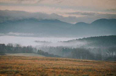 The autumn meadow is a sight to behold, as the mist rolls in to cloak the landscape in a soft and ethereal glow. The vibrant colors of the trees and grasses are made even more striking by the mist,