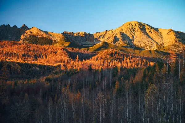 The Gerlach peak towers above an autumn landscape in the High Tatras, a stunning display of nature\'s beauty