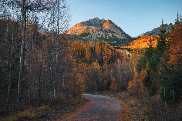 Golden Hues Autumn Foliage Contrast Majestic Gerlach Peak High Tatras — Stock Photo, Image