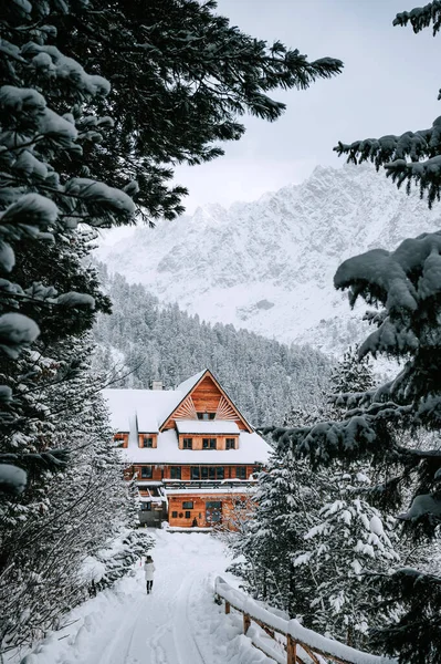 Poprad Lake High Tatras Slovakia Winter Untouched Snow Serene Atmosphere — Stock Photo, Image