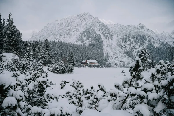 High Tatras Winter Seen Poprad Lake Misty Mountains Snow Covered — Stock Photo, Image