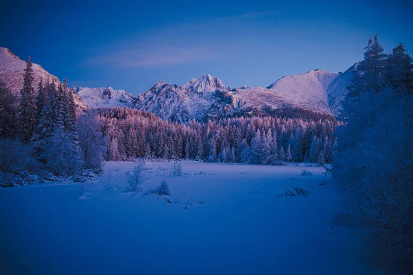 Serene Winter Scene Strbske Pleso High Tatras Just Dusk — 스톡 사진