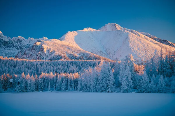 Breathtaking View Strbske Pleso Lake Surrounded High Tatras Mountains Cold — 스톡 사진