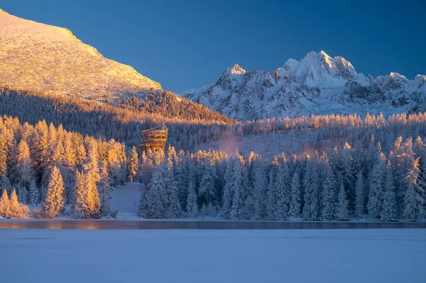 Winter Morning Strbske Pleso High Tatras Standing Tall Lake Reflecting — Stockfoto